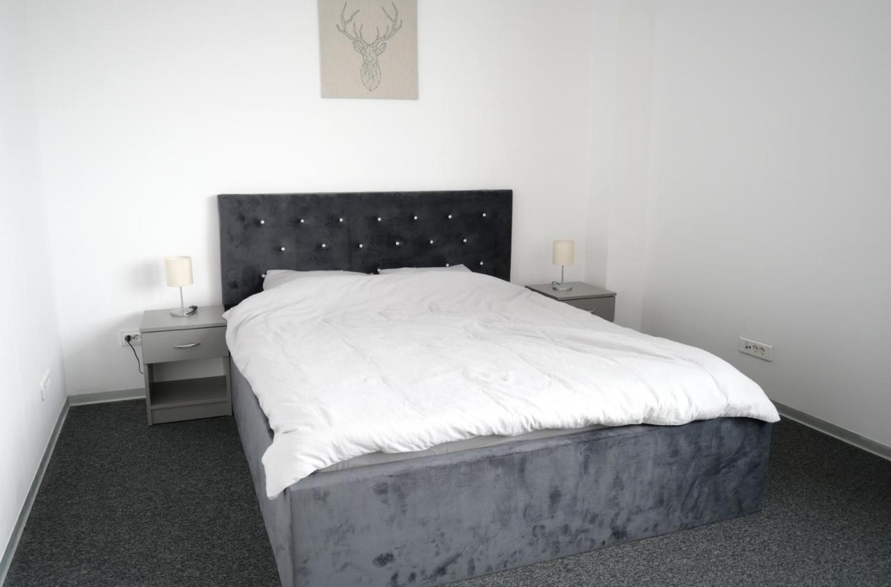 Luana Airport Apartments #9 オトペニ エクステリア 写真